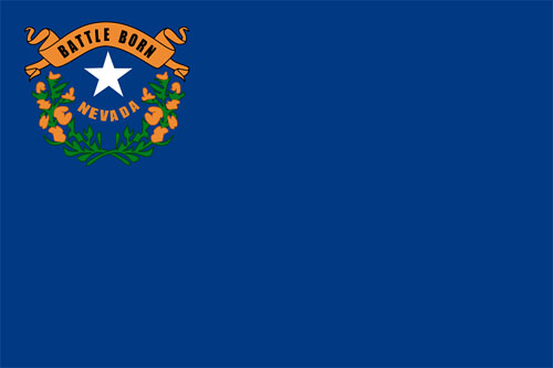 nvflag