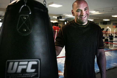The 15 Best Free Standing Punching Bags (September 2023)