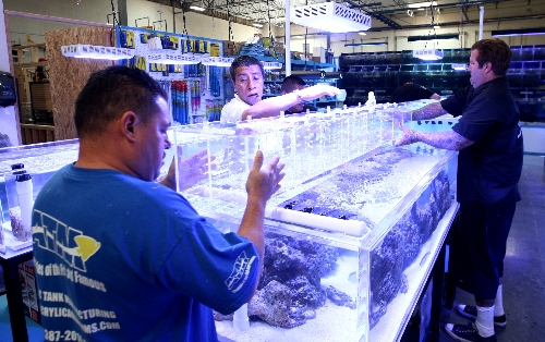 Aquarium builders score new reality series on Animal Planet - 5945329 8 4 Aquarium builders score new reality series on Animal Planet - 5945329 8 4