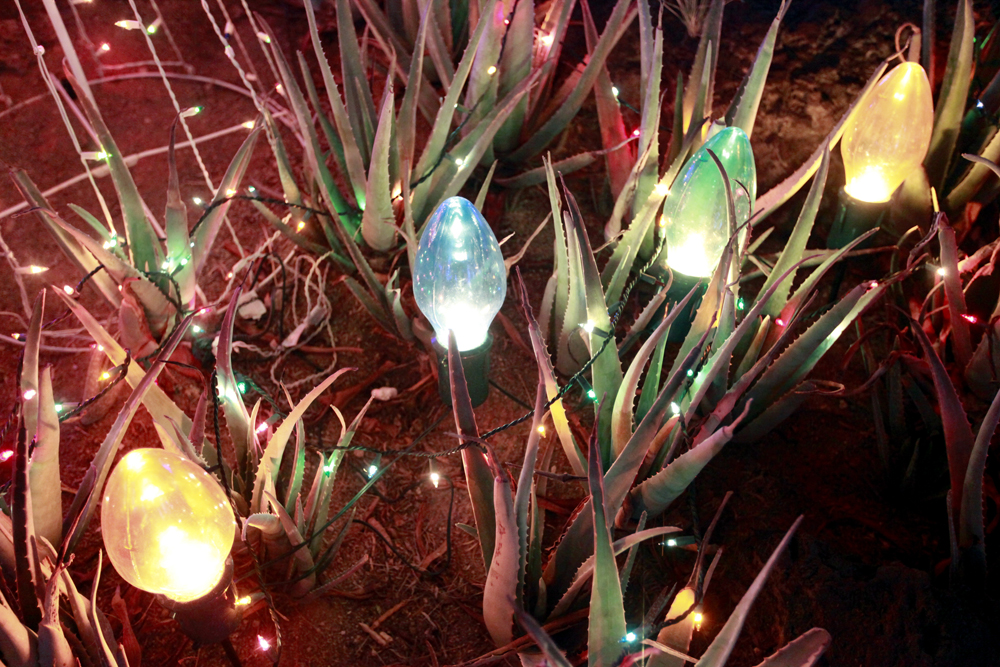 Ethel M Chocolates Holiday Cactus Lighting Las Vegas ReviewJournal