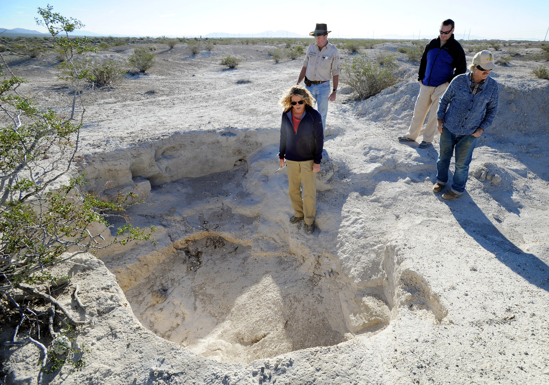 Fossil enthusiasts rewarded with special dig Las Vegas ReviewJournal