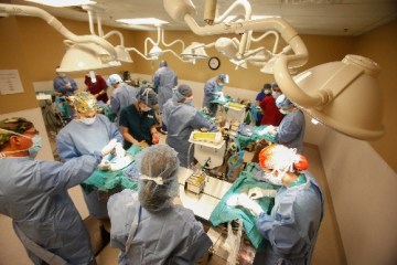 burden spaying sought