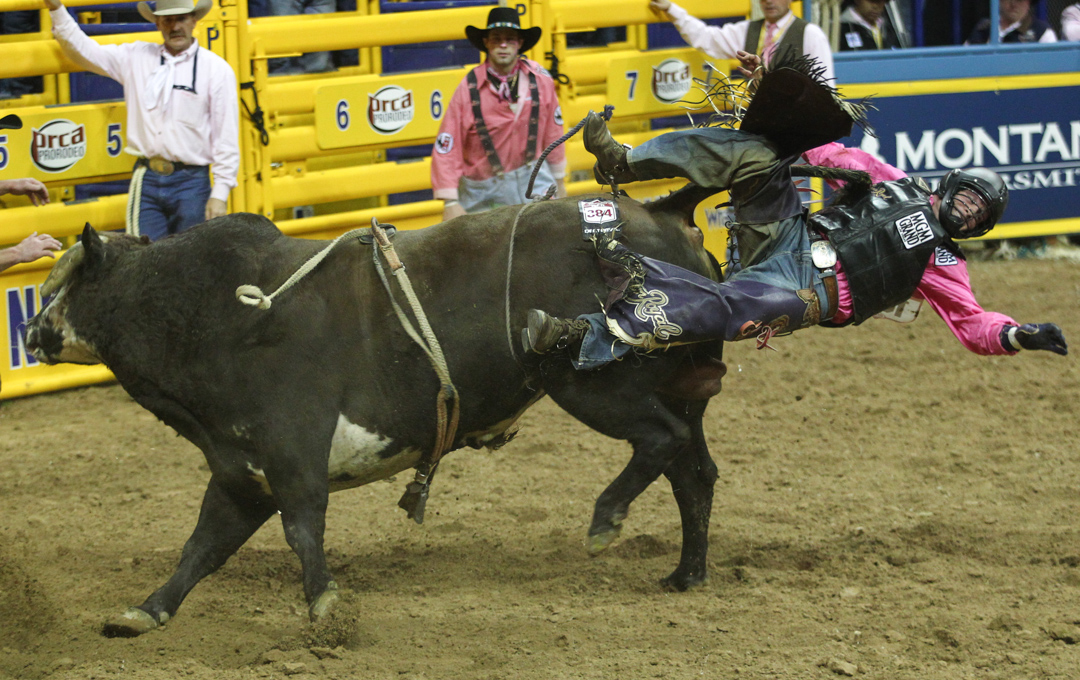 Bull Riding at the 5th goround of the NFR National Finals Rodeo