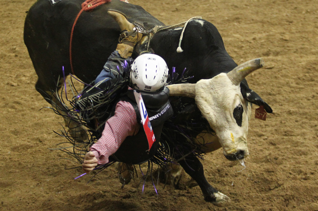 Bull Riding at the 5th goround of the NFR Las Vegas ReviewJournal