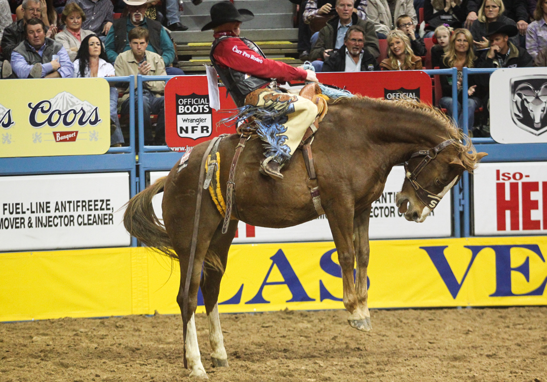 Nfr 2025 Round 6 Results Today Ronda Chrystal