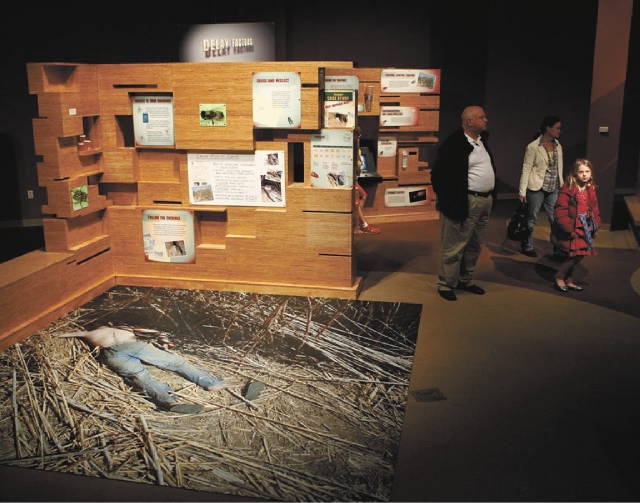 Springs Preserve exhibit shows how bugs help detectives Entertainment