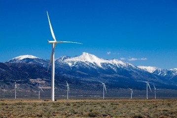 Eagle death at Nevada wind farm brings federal scrutiny ...