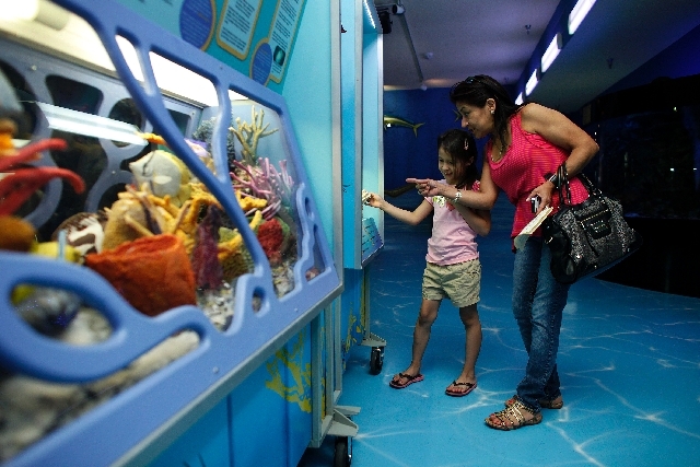 Yana Martinez, 7, and her grandmother Diana Martinez look at the Discovery Exhibit exhibit, part of the Sea Trek traveling exhibit, at the Las Vegas Natural History Museum in Las Vegas.