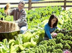 Easy season: Fall gardening spells success
