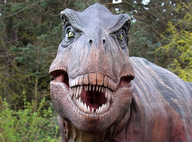 Proof in the tooth: T. rex a capable hunter | Las Vegas Review-Journal