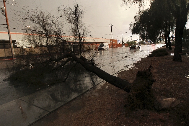 An uprooted tree lies across Bonanza Road near the intersection with Martin Luther King Jr. Boulevard as thunderstorms roll over the Las Vegas Valley on Friday.