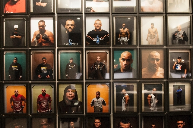 A wall displays portraits of UFC fighters at the UFC's headquarters in Las Vegas.