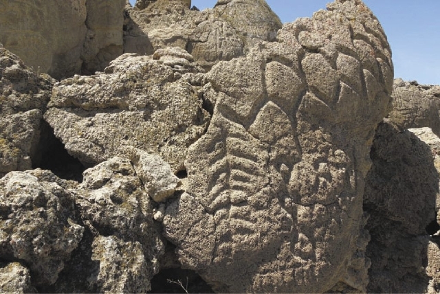 This May 2012 photo provided by the U.S. Geological Survey shows ancient carvings on limestone boulders in northern Nevada's high desert near Pyramid Lake. The carvings have been confirmed to be t ...