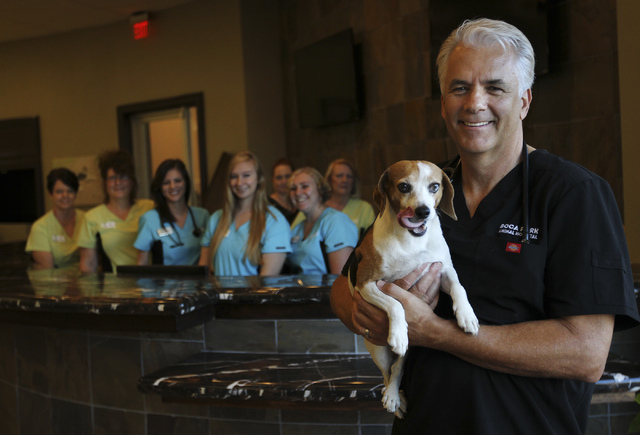 Boca Park Animal Hospital Boarding