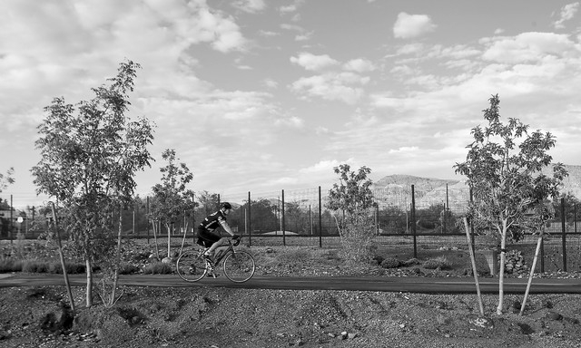 Henderson City Manager Jacob Snow rides along the Union Pacific Railroad Trail near Greenway Road to his job at Henderson City Hall on Monday, Sept. 9, 2013. (Chase Stevens/Las Vegas Review-Journal)