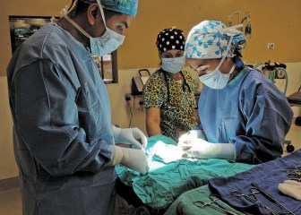 feral spay neuter