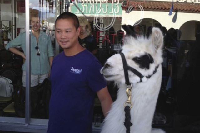Tony Hsieh, seen with a llama in downtown Las Vegas. (Norm Clarke photo)