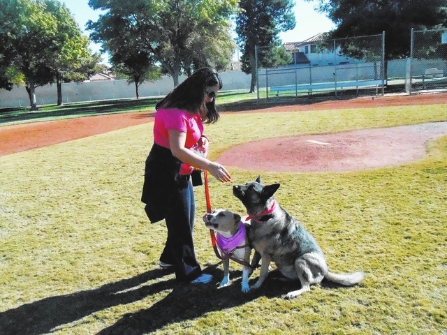 Henderson residents share pet adoption success tales | Las Vegas  Review-Journal