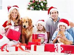 Holiday dog grooming 101: How to get your pet ready for the party