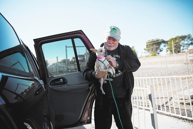 Everett Croxson, Executive Director of Foreclosed Upon Pets, Inc., collects Petal from The Animal Foundation, located at 655 N. Mojave Road, on Monday, Dec. 2, 2013. In the past two and a half yea ...
