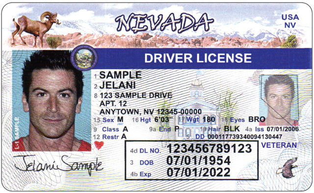 Free Nevada Drivers License Template