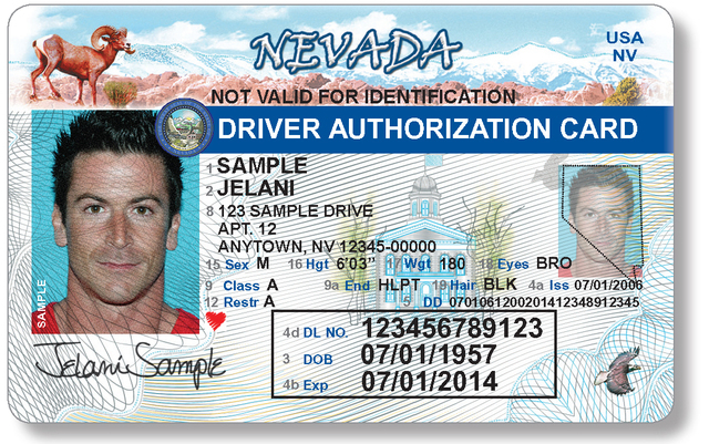 Fake Nevada Driver's license - What happens if I get busted?