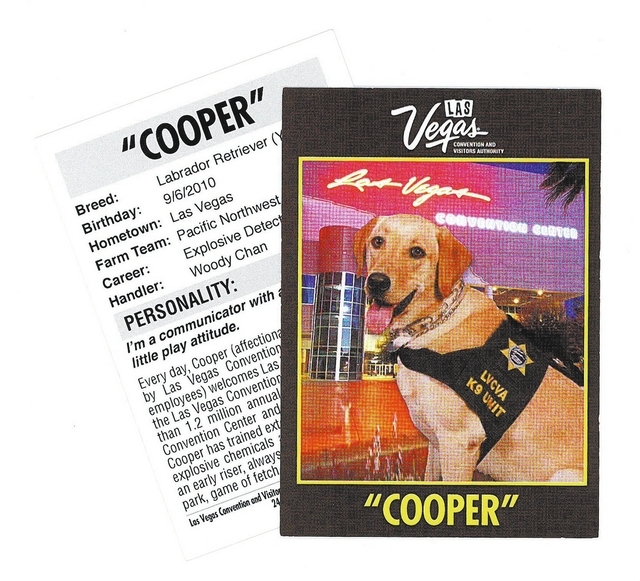 Cooper, the Las Vegas Convention and Visitors Authority's bomb sniffing dog. Officers hand cards out to curious people.