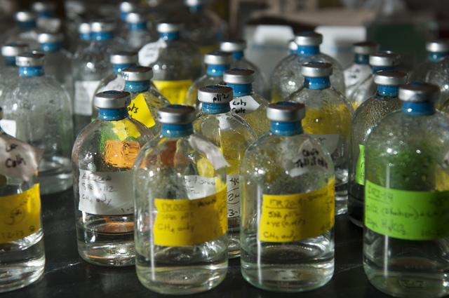 Samples of active cultures known as thermophiles are seen at the environmental microbiology lab at the Desert Research Institute in Las Vegas Friday, Jan. 3, 2014. (Erik Verduzco/Las Vegas Review- ...