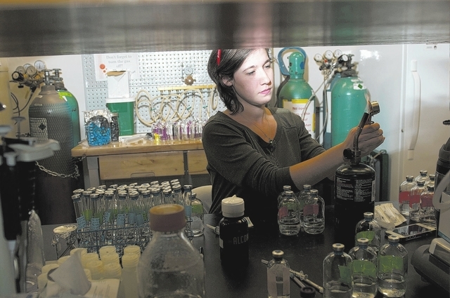 Mary DeVita, graduate student at UNLV's microbiology department, uses a flame torch to sterilize tops on test bottles at the Desert Research Institute in Las Vegas Friday, Jan. 3, 2014. (Erik Verd ...