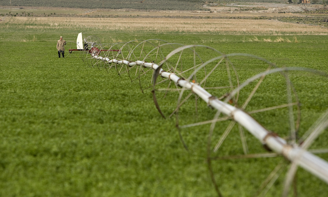 An irrigation rig in a field on a Spring Valley ranch owned by the Southern Nevada Water Authority in White Pine County is shown in this June 4, 2008, file photo. Nine Nevada counties have been de ...