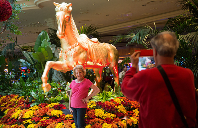 Barbara Simon has her photo taken by her husband, Jay, while vacationing on their 48th anniversary at the Wynn on Thursday, Jan. 30, 2014. (Samantha Clemens/Las Vegas Review-Journal)