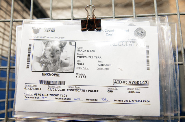 An intake sheet shows a rescued Yorkshire terrier at Lied Animal Shelter in Las Vegas where a total of 27 small breed puppies were taken to after a pet shop arson, Monday, Feb. 3, 2014. The rescue ...