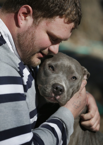 Cameron Younglove plays with a pit bull terrier named Sooke at his kennels near Eudora, Kan., Sunday, March 9, 2014. The kennel raises their dogs indoors in a family environment and are socialized ...