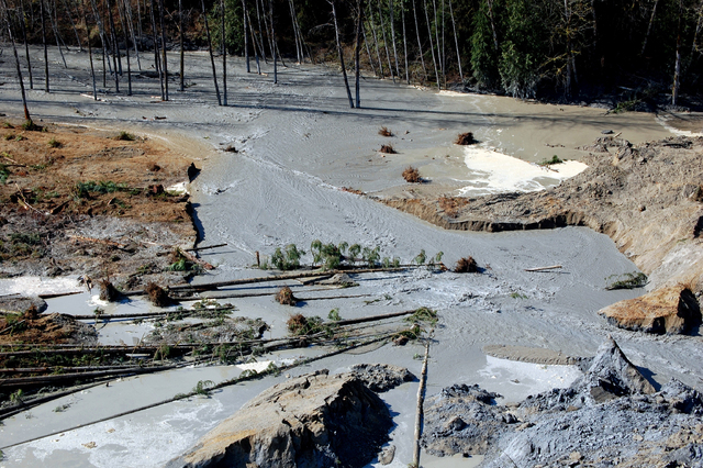 A view of the damage from Saturday's mudslide near Oso, Wash. At least eight people were killed in the 1-square-mile slide that hit in a rural area about 55 miles northeast of Seattle. Several peo ...