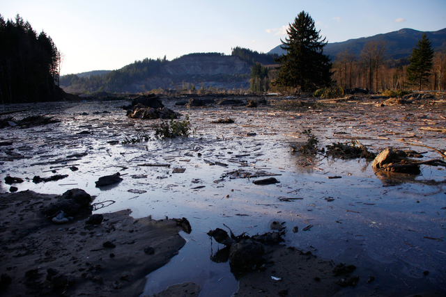 Water and mud back up on the east side of Saturday's fatal mudslide near Oso, Wash., Sunday. (AP Photo /The Herald, Genna Martin)
