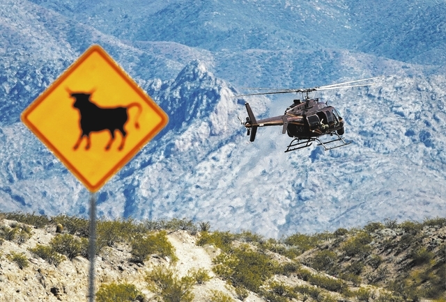A helicopter lands at a staging area of Bureau of Land Management vehicles and other government vehicles off of Riverside Road near Bunkerville, Nev. Saturday, April 5, 2014. The Bureau of Land Ma ...