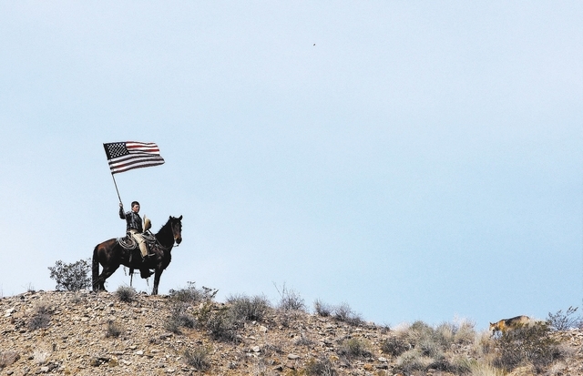 Arden Bundy, son of rancher Cliven Bundy, flies the American flag on a hill overlooking the protest site near Bunkerville on April 12, 2014. Moments before, the BLM agreed to cease the round up of ...