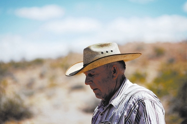 Cliven Bundy walks on land where he runs cattle near Bunkerville, Nev. Tuesday, April 1, 2014. The Bureau of Land Management has been closing off the Gold Butte area near Bunkerville in preparatio ...