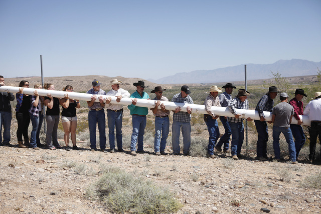 People help erect a pole to hang a banner during a rally in support of Cliven Bundy near Bunkerville Nev. Monday, April 7, 2014, 2014. The Bureau of Land Management has begun to round up what they ...