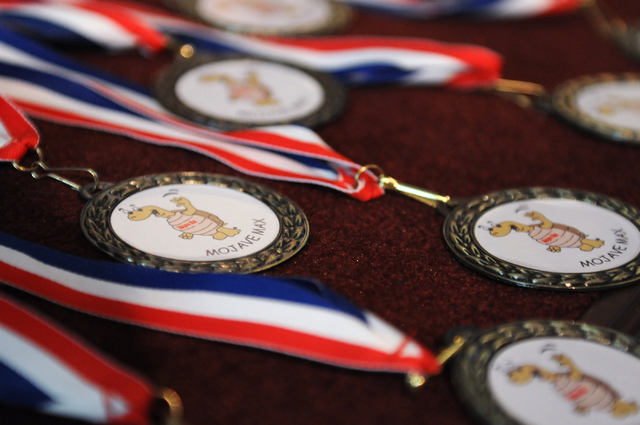 Winner medals are presented for first grade student Peyton Burns and her class after Burns was announced the winner of the Mojave Max contest during a surprise ceremony at Faith Lutheran Academy i ...