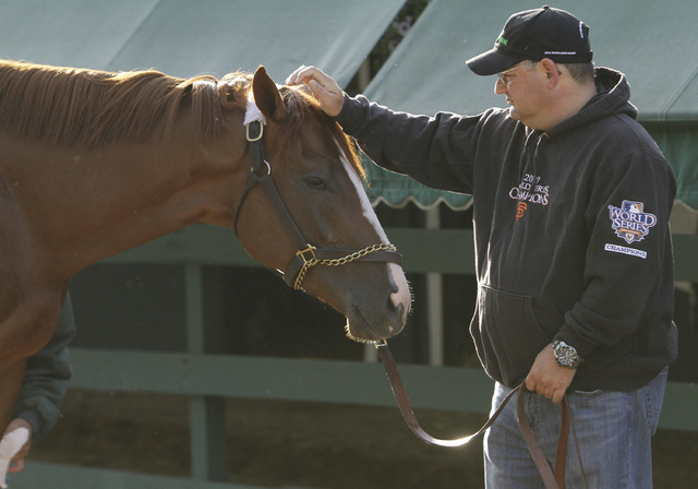 Assistant trainer Alan Sherman rubs the head of Kentucky Derby and Preakness Stakes winner California Chrome at Pimlico Race Course in Baltimore, Sunday, May 18, 2014. Trainer Art Sherman says Cal ...
