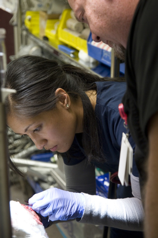 Maria Dubose, left, a physician assistant student from Touro University, assists Dr. Jim Preddy at UMC Trauma Center in Las Vegas on Saturday, May 10, 2014. (Jeferson Applegate/Las Vegas Review-Jo ...