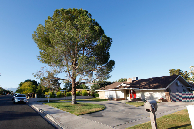 A for sale sign is seen at a home on Kenny Way near Palomino Lane in the 89107 zip code of Las Vegas on Wednesday, April 30, 2014. Home values in 89107 increased 53.2% in 2013. (Chase Stevens/Las ...