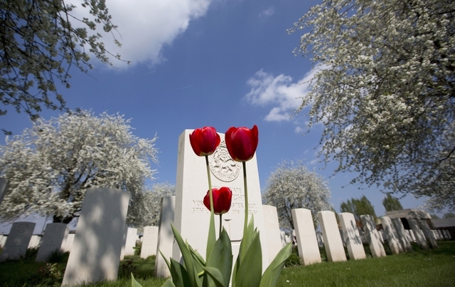 In this Friday, April 11, 2014 photo, tulips bloom in front of the grave of a Commonwealth soldier at the World War I Kandahar Farm Cemetery in Wulvergem, Belgium. Kandahar Farm was near the villa ...
