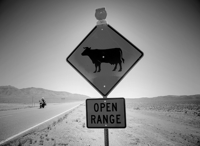 A motorcycles pass an open range on State Route 375 near Rachel, Nev. on Wednesday, June 4, 2014. Many roads in rural Nevada are on open range.(Jeff Scheid/Las Vegas Review-Journal)