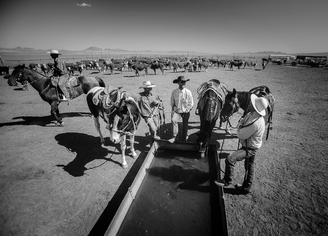 Scott Van Leuven, right, Ty Berg, and Nate Easterday, gather at the water trough after a day of branding calves at the Twin Creek Ranch. The ranch is located about  200 miles north of Las Vegas as ...
