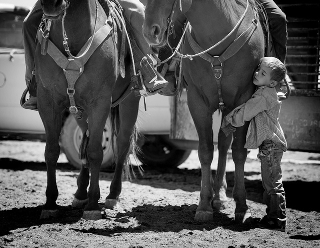 Giovanni Berg, 6, hugs a horse during calf branding at the family's Twin Creek Ranch, located around 200 miles north of Las Vegas on Wednesday, June 4, 2014. The Fallini family has been operating  ...