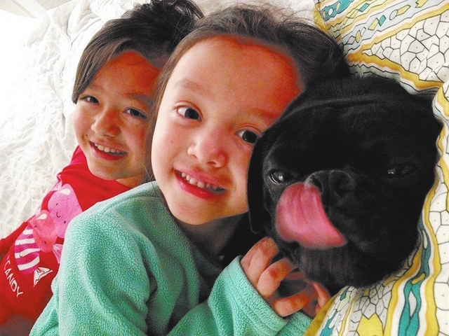Chris Haraway  of Las Vegas said, “This is a picture of Inky the pug, an early Mother’s Day present that his two sisters, Hana and Sarah Haraway (pictured), have stolen all the attention from.”