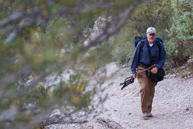 Fred Bell carries his sound recording equipment while hiking up Fletcher Canyon at Mount Charleston on Thursday, June 19, 2014. Bell goes to various areas to record the sounds of nature, usually f ...