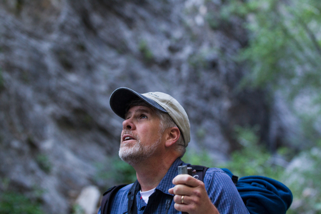 Fred Bell surveys the area before setting up his recording equipment in Fletcher Canyon at Mount Charleston on Thursday, June 19, 2014. Bell goes to various areas to record the sounds of nature, u ...